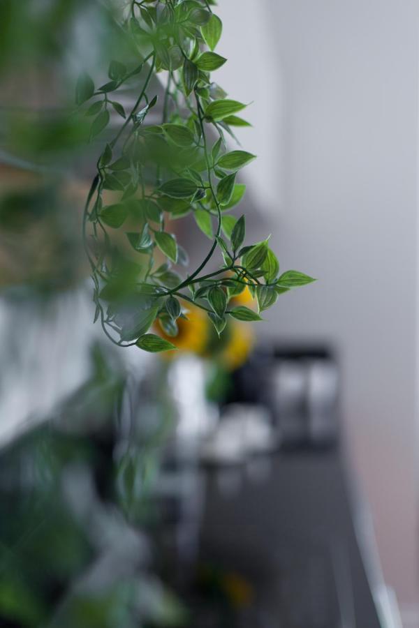 Marinus Apartments Old Town グダニスク エクステリア 写真